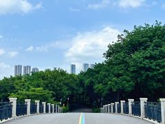 -顺峰山公园