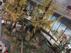 -湖南省地质博物馆