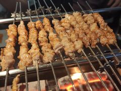 -很久以前羊肉串(昌里路三钢里店)