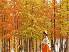 -白鹭湾湿地公园