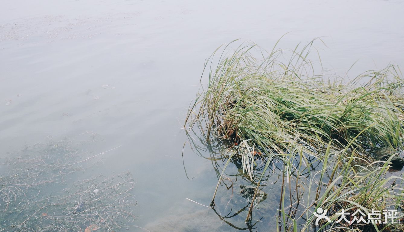 春风又绿江南岸，来蠡湖边走走吧！