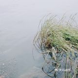 春风又绿江南岸，来蠡湖边走走吧！