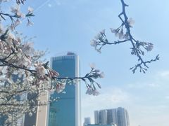 -西北湖绿化广场