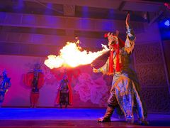 -盖碗儿梨园·变脸吐火·川剧(天府广场店)