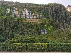 -府河摄影公园