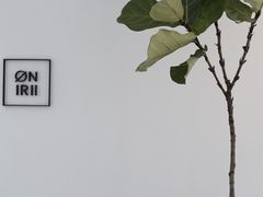 -Onirii Coffee(长乐路店)