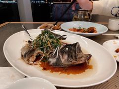 葱油滑蒸石斑-彩丰楼中餐厅·仁恒洲际酒店