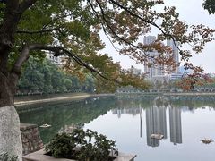 -宝岛公园
