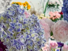 -Gigi Florist·Dk Coffee