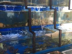 水产区-老东镇啤酒屋海鲜加工·蒸汽海鲜·海鲜烧烤(台东店)