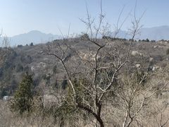 -白水寺森林公园