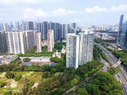 -禧月荟S月子中心(侨城店)