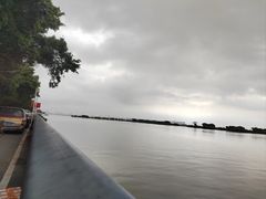 -大湾区中央湿地公园-十九涌