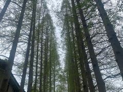 -扬州瘦西湖温泉