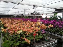 -天源吉布世温泉水乐园