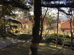 -观象山公园