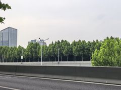 -合肥大剧院