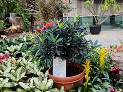 -北京植物园-展览温室