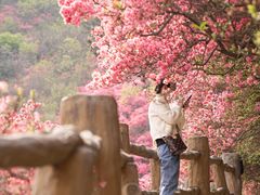-木兰云雾山