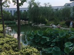 -北京国家会计学院