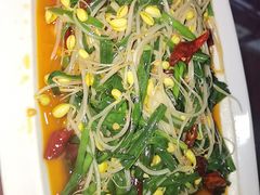 -马白开来特色羊排揪片子  (总店)