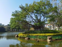 -厦门大学(思明校区)
