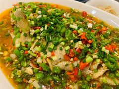 飞虹鱼-飞虹鱼馆(春华路店)