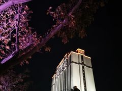 -惠州康帝国际酒店