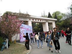 -中国科技大学-专家楼食堂
