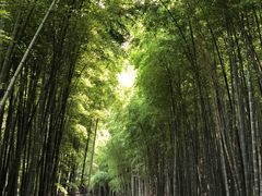 -苏州环秀晓筑养生度假村