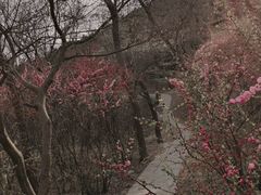 -水池山公园