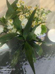 -HEYAN荷妍专业脱毛连锁机构
