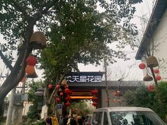 -满天星花园