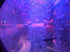 -沈阳海洋探索中心