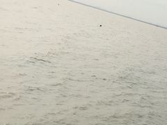 -巢湖姥山岛