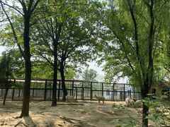 -宿豫区运河湾森林动物园