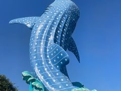 -珠海长隆海洋王国