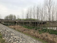 -洨河生态公园