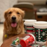 2020最后一天写给汪星人