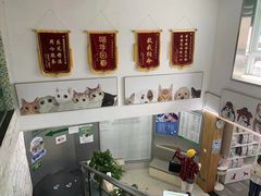 -爱侣宠医·鹦鹉专科·小型哺乳类·异宠专科(灵石路店)