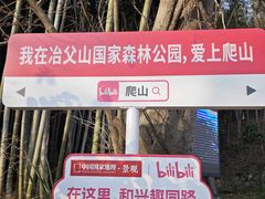 -冶父山国家森林公园