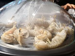 -日进一片海.生腌海鲜火锅.宵夜烧烤(三里屯总店)