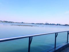 -上海月湖雕塑公园