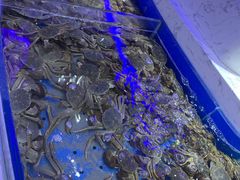 -澜悦港海鲜体验主题餐厅