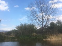 -西昌邛海湿地