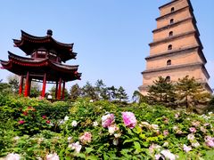 -大慈恩寺(大雁塔)