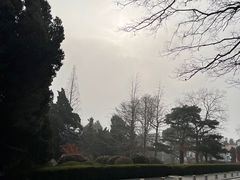 -八大关景区