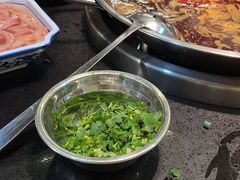 红油锅底-飘香火锅(玉林西路店)