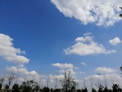 -白鹭湾湿地公园