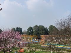 -秀丽东方